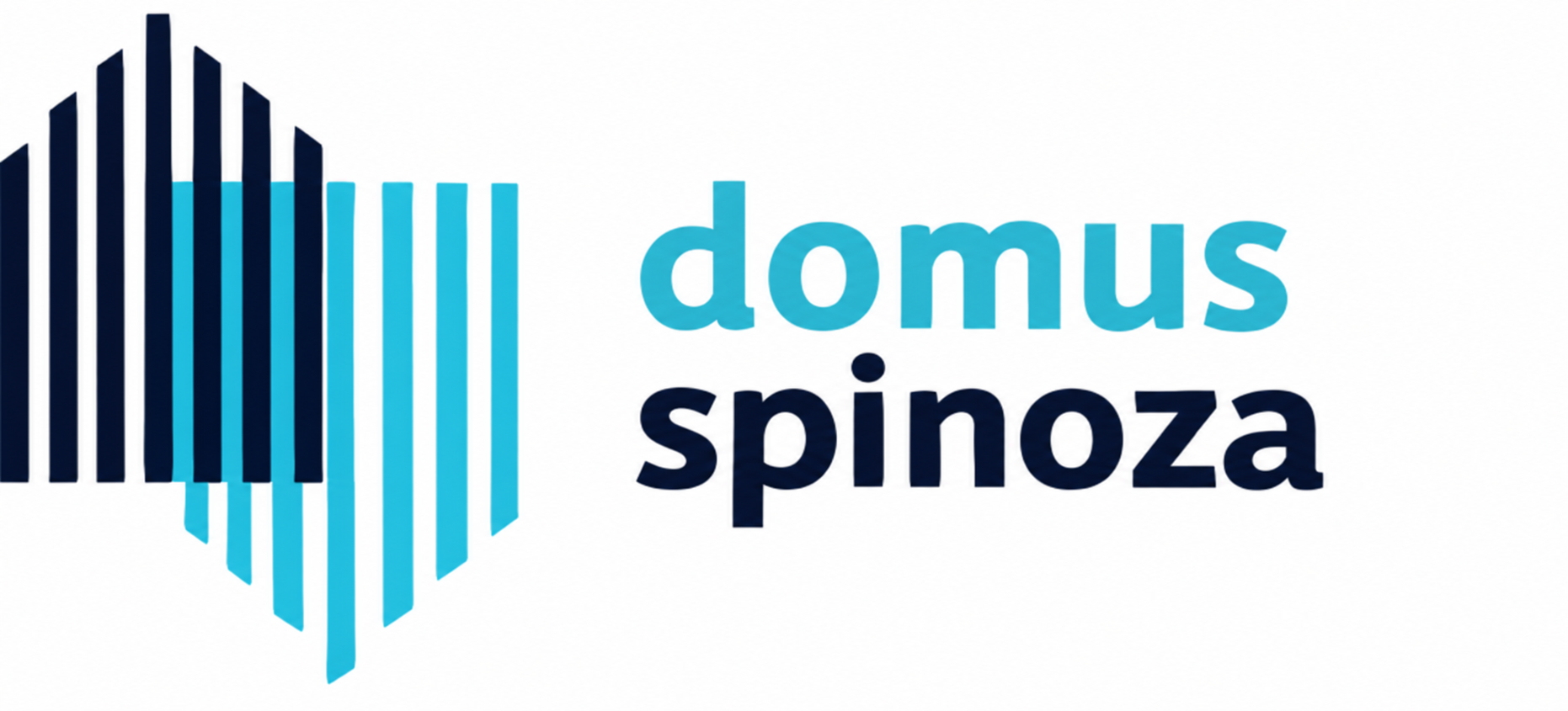 Domus Spinoza